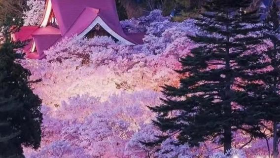 日本名古屋犬山城+馬籠宿+妻籠宿+恵那峽觀景台一日遊