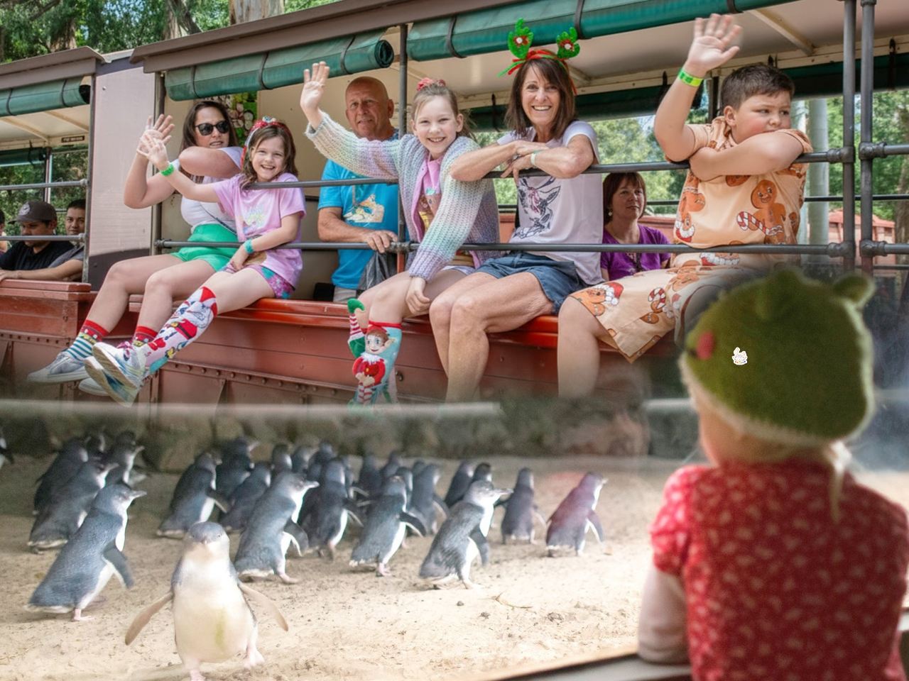 겨울방학 특별 체험: 멜버른 퍼핀 빌리 증기 기차 + 필립 섬 펭귄 투어 1일 (중영문 예약 가능)