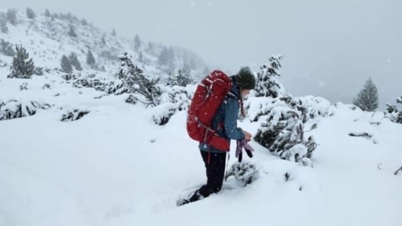 From Sofia: The Seven Rila Lakes Full-Day Hiking Tour