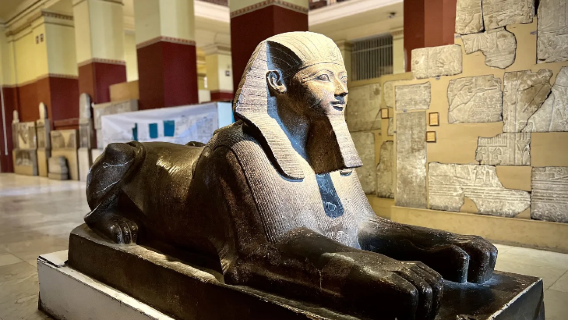 Cairo, Egypt|Customized Itinerary/Transfer Service/Point-to-Point Transportation