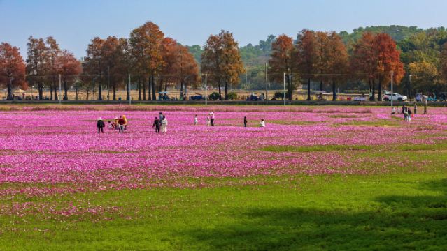 中山影視城+孫中山故居+詹園+崖口村一日遊|私家小團上門接駁