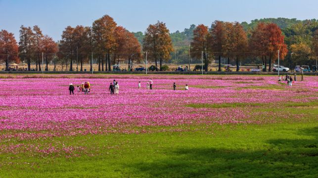 中山影視城+孫中山故居+詹園+崖口村一日【私家小團上門接送】