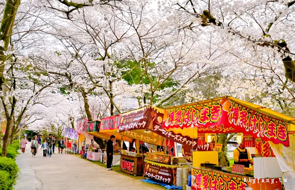 九州櫻花大賞：流川櫻花大道+秋月城跡+浮羽稻荷神社+寶滿宮