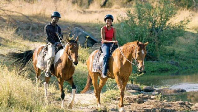 Livingstone, Zambia | Half-Day Horseback Jungle Adventure