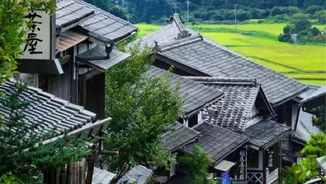 日本長野來回：松本城＋繩手通步行街＋上高地徒步【古城＋森林】