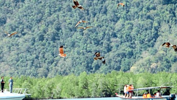 Langkawi Private Boat Tour  with Snorkeling & Mangrove Cruise "Best Island Hopping Experience”