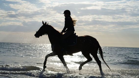 Tour de paseo a caballo en Hurgada con cena y espectáculo opcionales