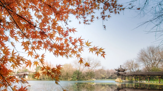 Zhejiang Hangzhou profesyonel rehberlik, çok dilli tercüme / yabancı konuk iş ağırlama / özel tur