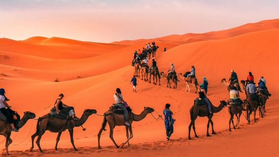 From Marrakech :To Sahara Desert Tour 3-Merzouga Desert Hotel + Camp &Camel trek + Food