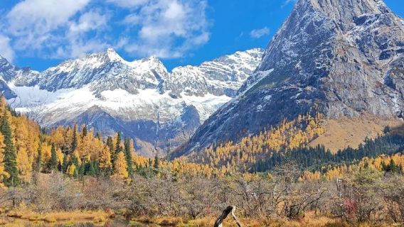 Dagstur till Siguniangshan (inklusive inträdesbiljett + sightseeingbuss) [Äkta ren nöjesresa + liten grupp på 8 personer | privat chartergrupp]