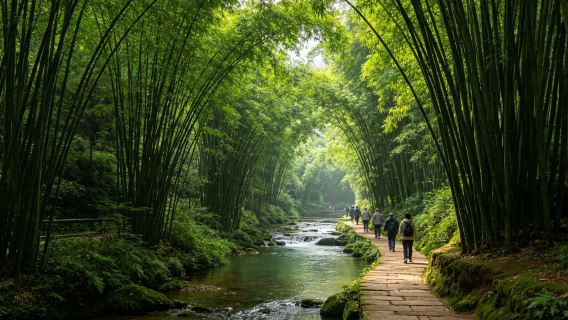 eendaagse tour naar Zuid-Sichuan Bamboebos (exclusief toegangsticket)