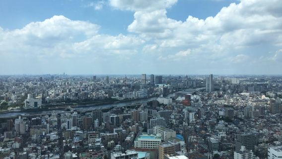Lawatan sehari di Jepun Tokyo + Ueno Park + Kuil Asakusa + WJS Ginza kawasan bandar [Sewaan peribadi dalam bahasa Cina dengan pengangkutan dari rumah]