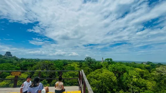 Tikal-Tagesausflug mit lokalem Mittagessen ab San Ignacio