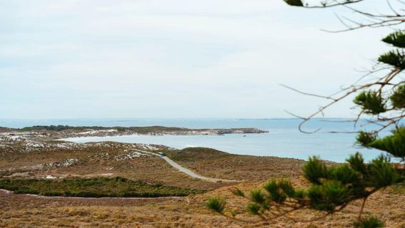 Rottnest Island 1.75 Hour Bayseeker Island Tour
