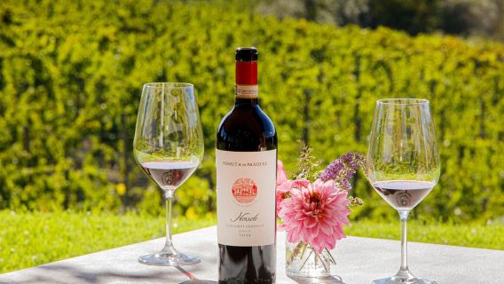 Greve in Chianti: Wine Tasting & Cellar Tour