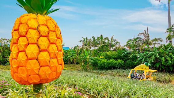 Eendaagse tour naar het noorden van Okinawa, Japan | Kaap Manza + Kouri-eiland + Ananaspark + Busena Undersea Park