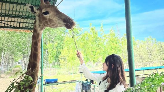 秦皇島野生動物園旅拍【【全精修】精緻攝影旅行跟拍親子情侶閨蜜】
