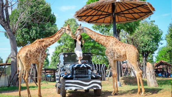 Sri Ayutthaya Lion Park con trasferimento privato