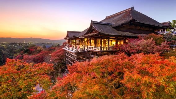 Kyoto + Nara Encounter Cute Deer Classic Panoramic one-day tour[Upgradeable to 9-person Small Group Hotel Pickup]