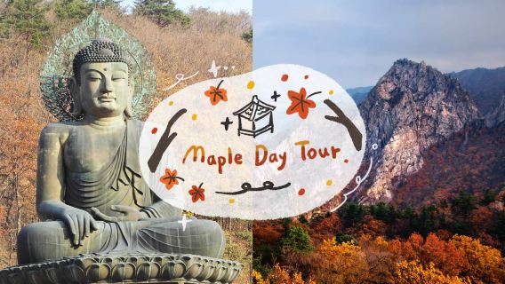 Autumn limited edition red leaves| one-day tour to Seoraksan Mountain in South Korea