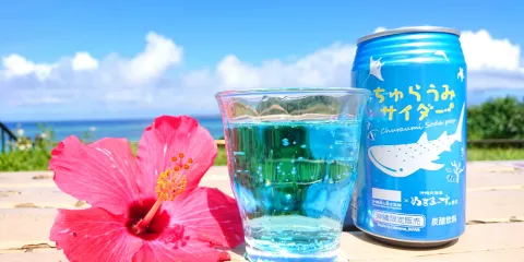 沖繩正規綠牌私人訂製包車一日遊:可選普通話日文司機/那霸機場接送