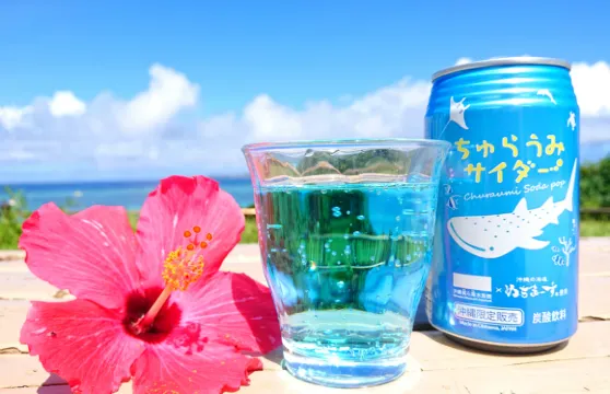 沖繩正規綠牌私人訂製包車一日遊:可選普通話日文司機/那霸機場接送