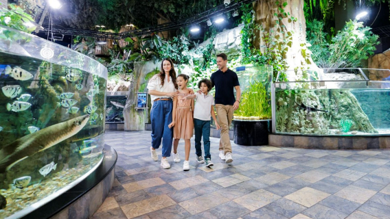 Recorrido autoguiado por el Acuario y Zoológico Subacuático de Dubái