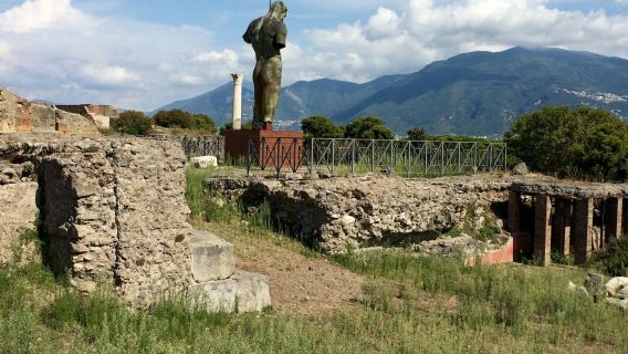 From Naples: Pompeii & Amalfi Coast Full-Day Trip with Lunch