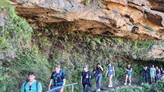 Blue Mountains: Full-Day Guided Tour from Sydney + Waterfall Walk + Lunch