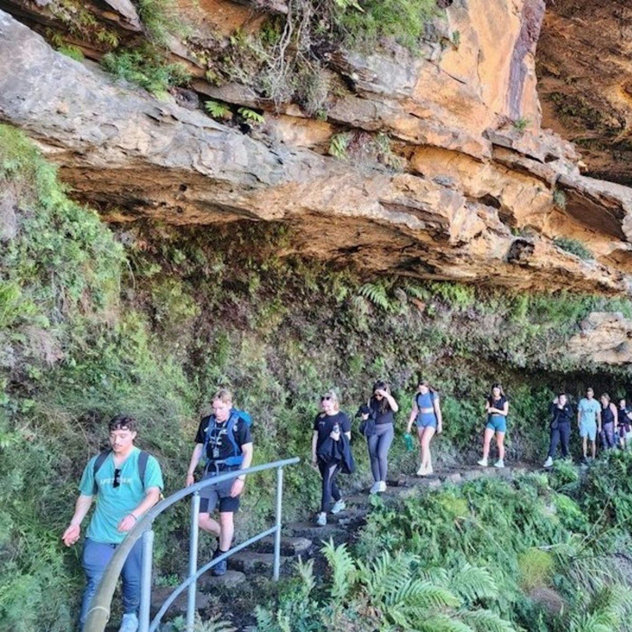 บลูเมาน์เทนส์: ทัวร์พร้อมไกด์เต็มวันจากซิดนีย์ + เดินชมน้ำตก + อาหารกลางวัน