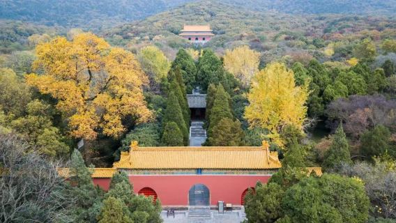 南京一日遊-鐘山風景名勝區+中山陵景區【贈中山陵預約】