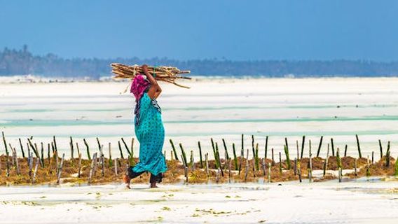 Zanzibar CityExperiences