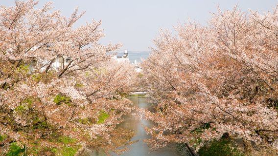 京都