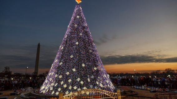 Holiday Lights Tour