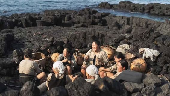 西歸浦市日遊