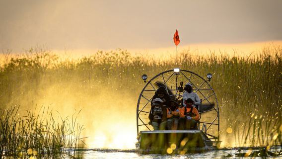 Fort Lauderdale: 40-Min Everglades Airboat Ride & Animal Sanctuary Entry