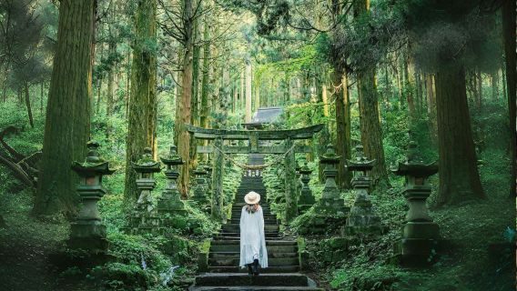 Excursión de un día al santuario secreto de Fukuoka, el volcán Aso, Kusasenri y las aguas termales de Kurokawa|Kumamoto ida y vuelta