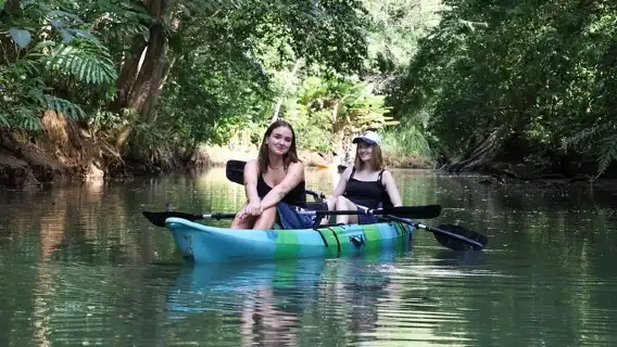 Paddle Through Paradise: Mangrove Kayak Adventure
