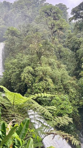 1-day tour to Poas volcano + coffee farm + waterfall from San Jose, Costa Rica from 1 person