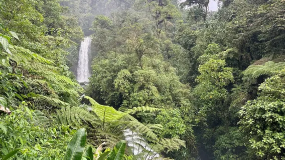 Passeio de um dia pelo Vulcão Poás + Fazenda de Café + Cachoeira em San José, Costa Rica (a partir de 1 pessoa)
