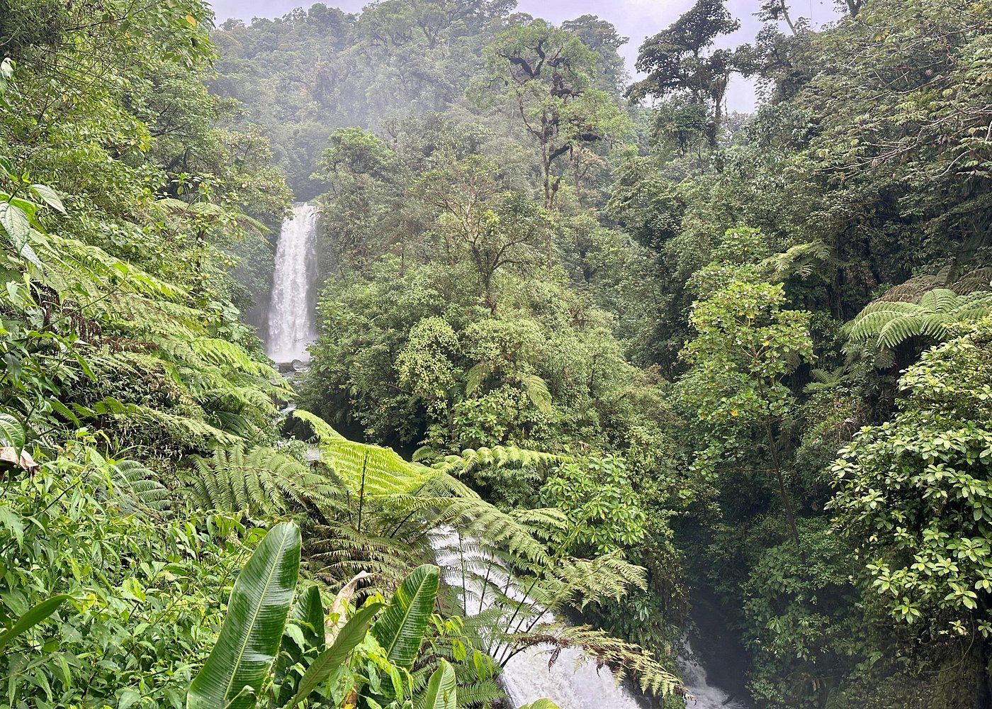 Costa Rica: Vulcano Poás a San Jose + Fattoria di Caffè + Giardini delle Cascate La Paz, a partire da 1 persona