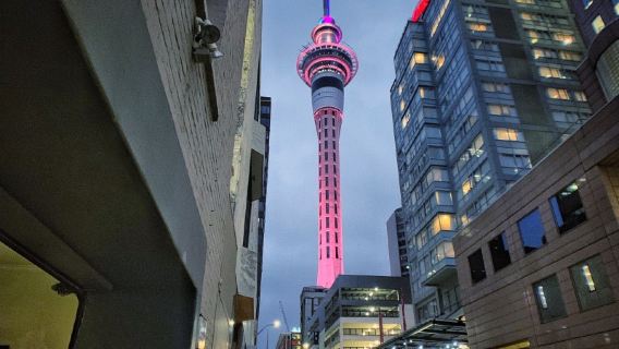 Reservar después de consultar/Edificio del Zoológico de Auckland en Nueva Zelanda/Monte Eden/Plaza de la Reina Isabel/Aeropuerto/Transporte puerta a puerta/Guía conductor para viajes y turismo/Servicio de vehículo privado