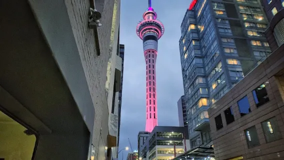 Book after inquiry/Auckland Zoo building, Mount Eden, Queen Elizabeth Square/airport/point-to-point car service/tour guide and driver/private car service