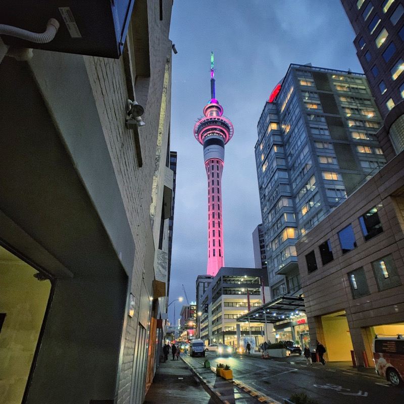 Reservar después de consultar/Edificio del Zoológico de Auckland en Nueva Zelanda/Monte Eden/Plaza de la Reina Isabel/Aeropuerto/Transporte puerta a puerta/Guía conductor para viajes y turismo/Servicio de vehículo privado