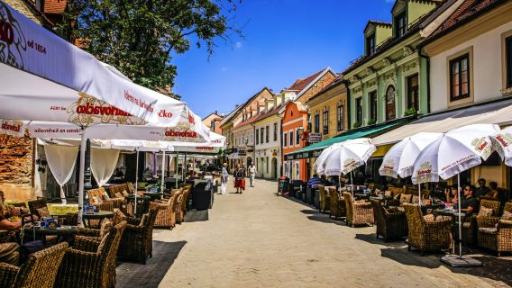 Однодневная экскурсия по Загребу: Каменные ворота, Кровавая улица и Глаз Загреба с частным транспортом