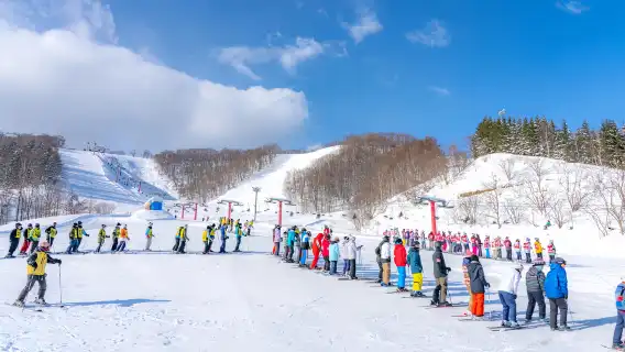 일본 홋카이도 오타루 아사리가와온센 스키장 당일 치기 여행 [스키/스노보드 선택 가능 | 중/영어 강사 | 초보자 환영 | 케이블카 포함 | 장비 완비]