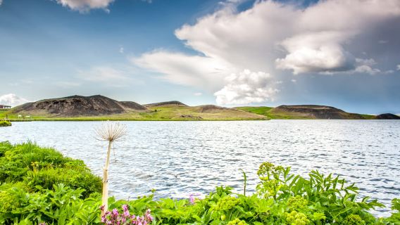Akureyri Port: Lake Mývatn & Goðafoss Guided Tour with Lunch