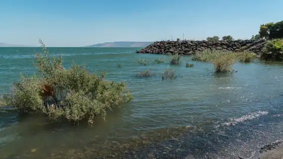 From Tel Aviv: Magdala, Mount of Beatitudes, and Cana Tour