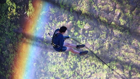 Victoria Falls: Gorge Swing Experience