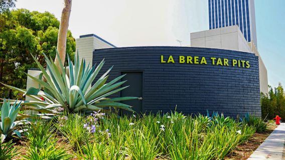 Los Ángeles: entrada al museo La Brea Tar Pits
